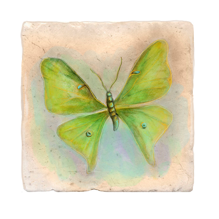 Bright Green Butterfly Tile Art Stone Coasters by Tiny Quail