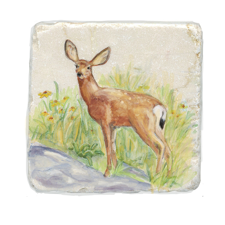 Deer Stone Coasters by Tiny Quail
