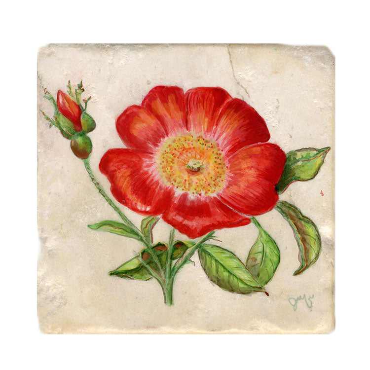 Wild Rose Tile Art Stone Coasters by Tiny Quail