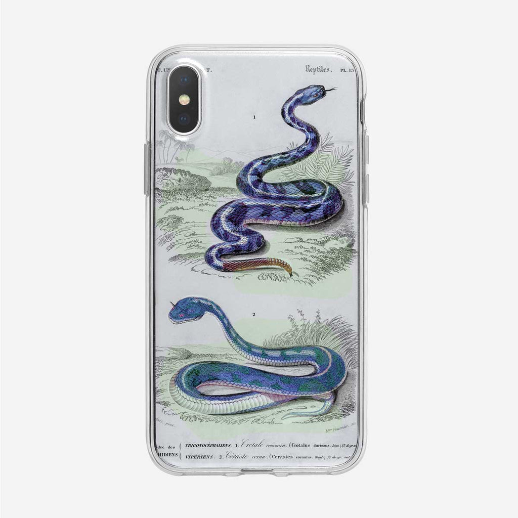 Vintage Snakes iPhone Case by Tiny Quail